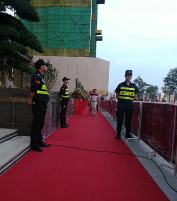 2018盛迪嘉群星演唱會安保護(hù)衛(wèi)活動